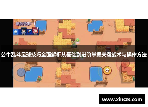 公牛乱斗足球技巧全面解析从基础到进阶掌握关键战术与操作方法