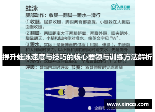 提升蛙泳速度与技巧的核心要领与训练方法解析