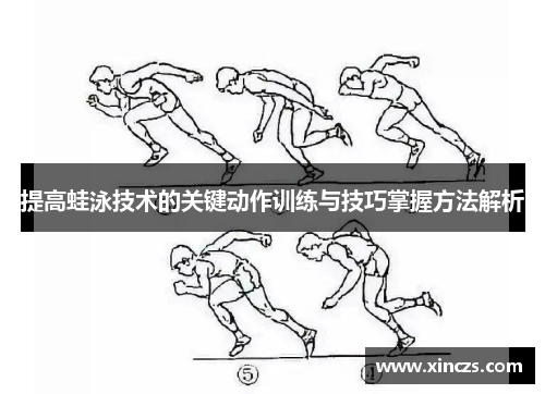 提高蛙泳技术的关键动作训练与技巧掌握方法解析