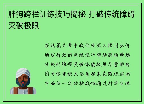 胖狗跨栏训练技巧揭秘 打破传统障碍突破极限